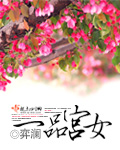 一品宮女
