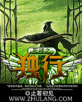 死神之独行