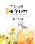 重生相守1977 图片