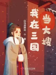 我在三国当大嫂 图片