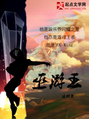 闲臣风流